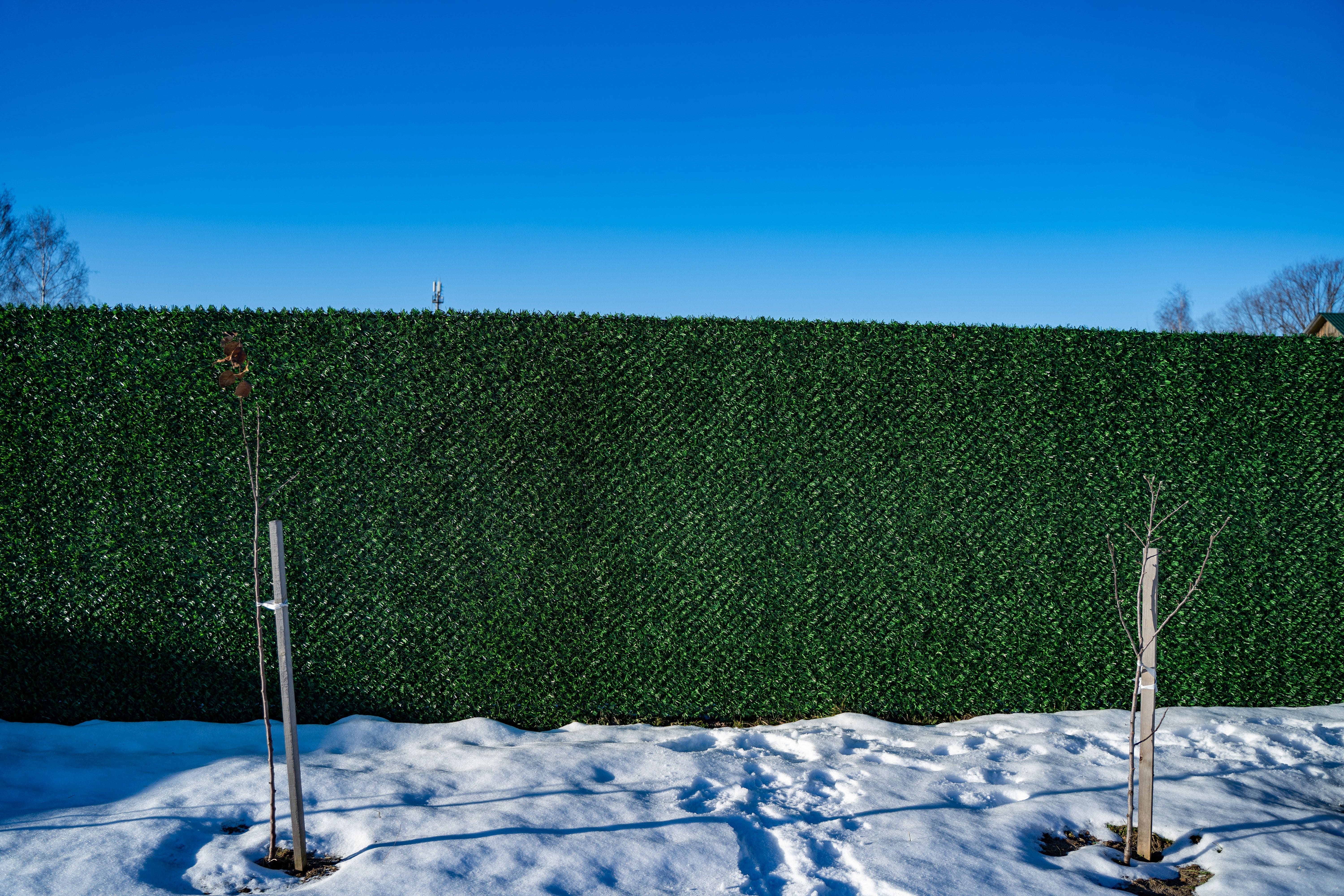 Вечнозеленый забор Grass Fence рулон 2м фото 8 в Бугульме