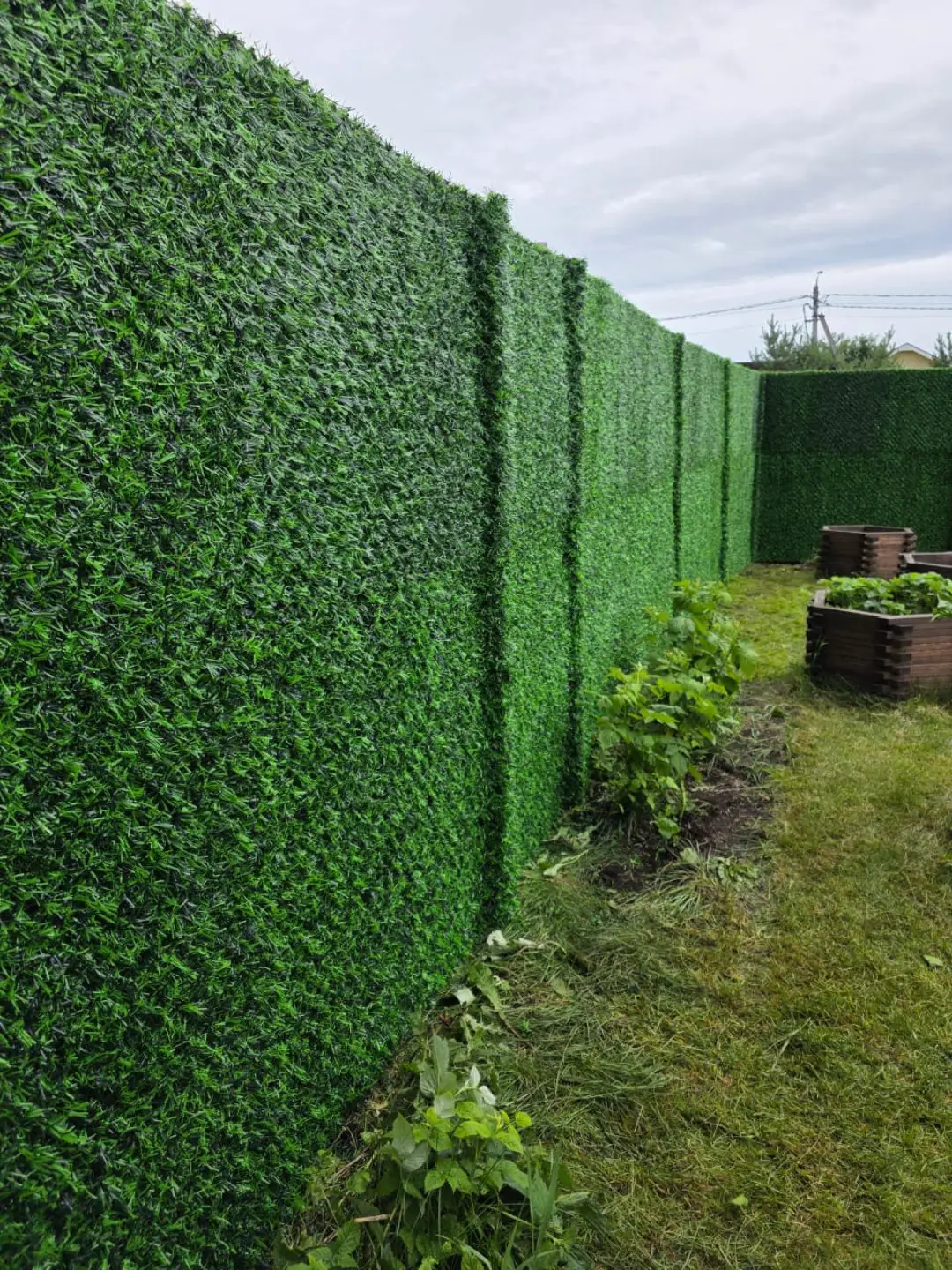 Вечнозеленый забор Grass Fence 37м фото 1 в Бугульме